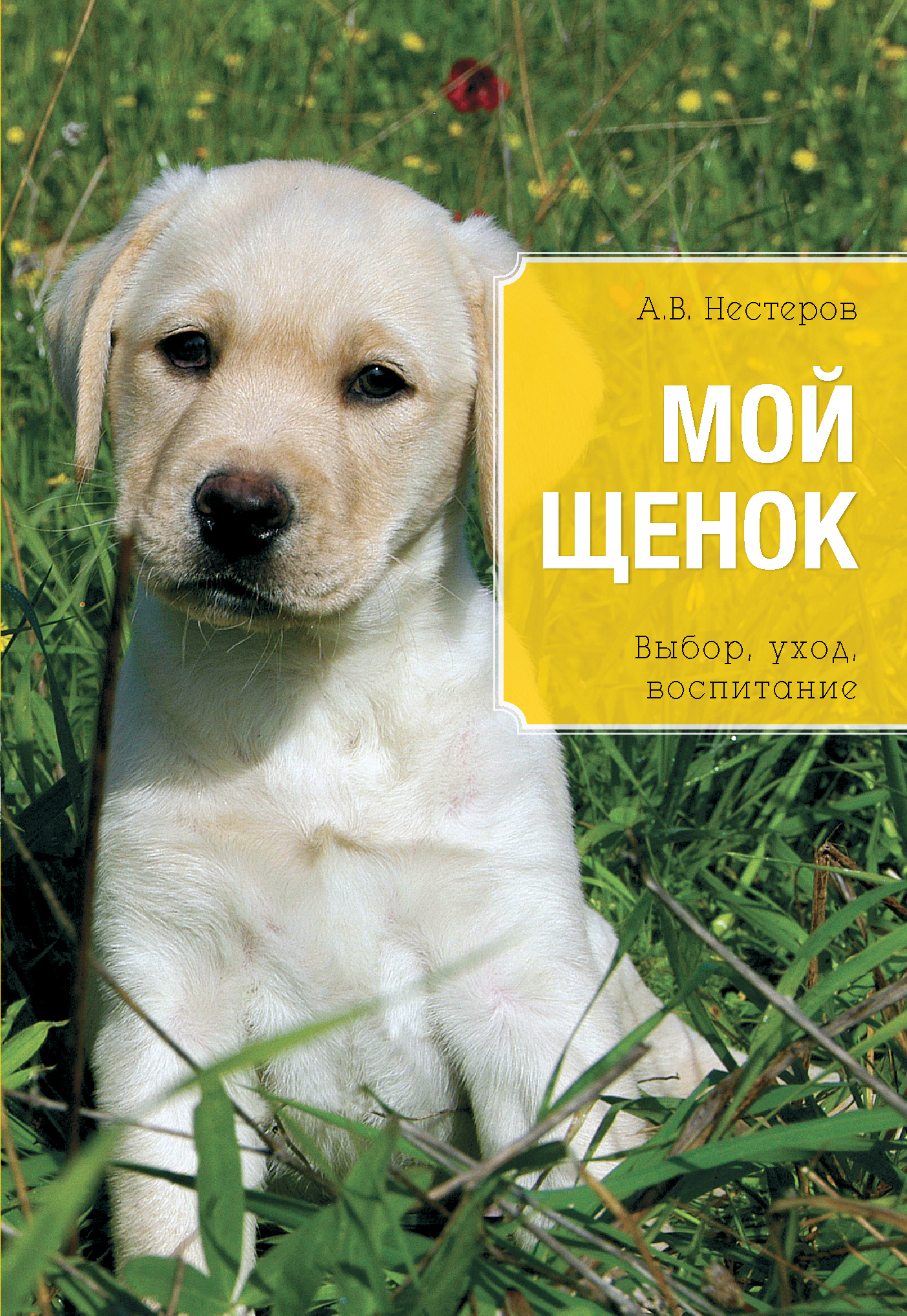 Михалкова «мой щенок». С. Про моего щенка. С. Михалков щенок.