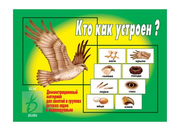 Кто? как?. Как говорит курица. Всем кто как и я. Спасибо всем кто рядом я ценю. Говорушки.