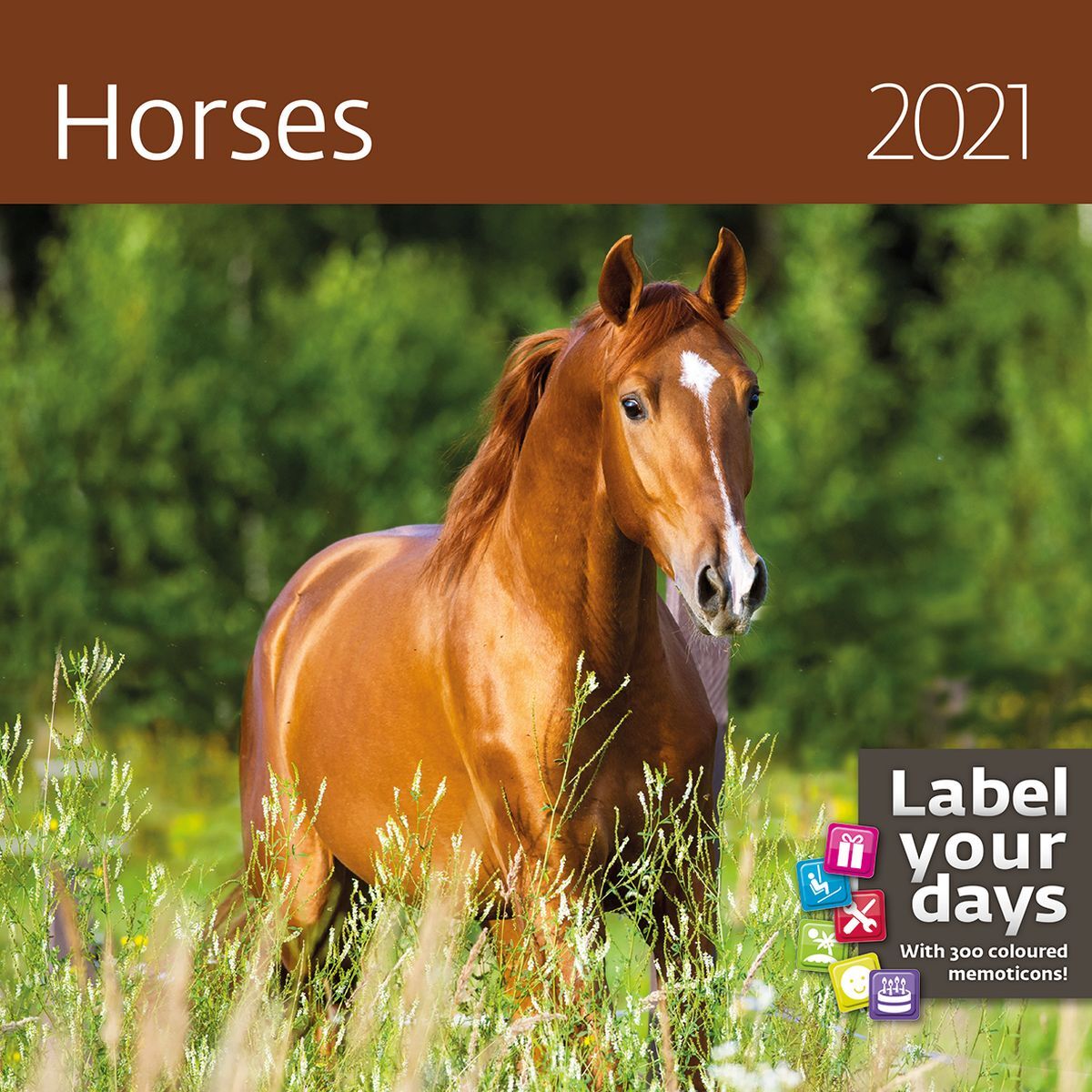 Хорс год. Календарь лошадь. Настенный календарь с лошадьми. Лошадь 2021. Снимки. Календари, с изображениями лошадей!.