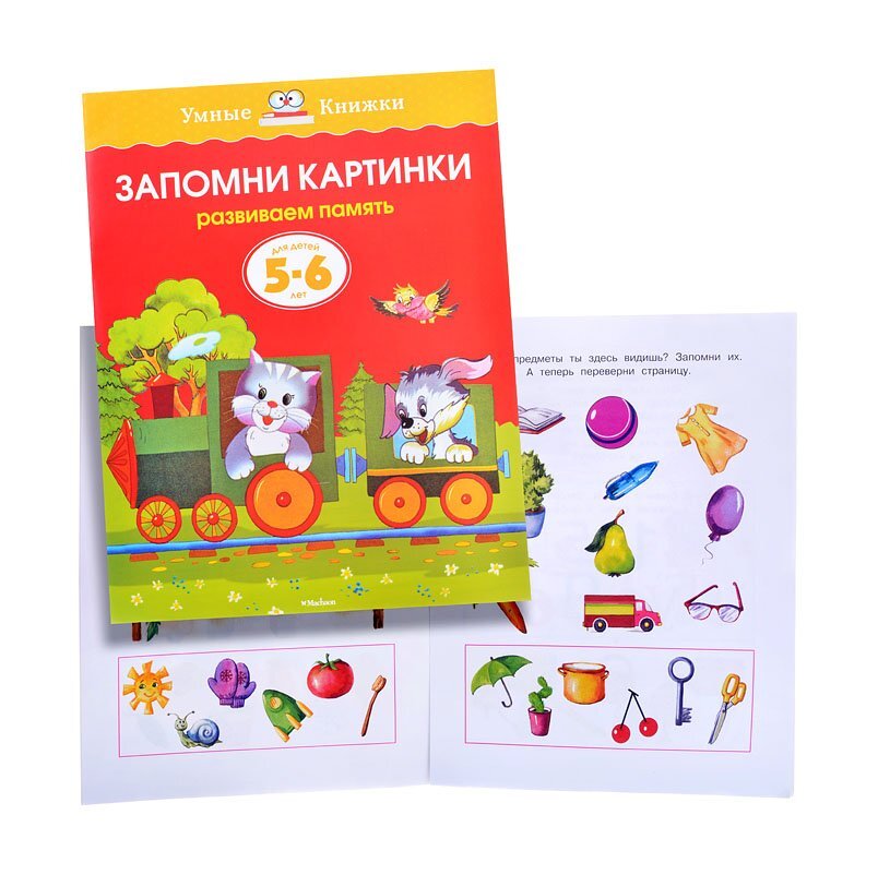 Книга запомни картинки