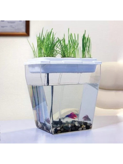 Набор для экспериментов "Акваферма" / Набор для выращивания растений и ...