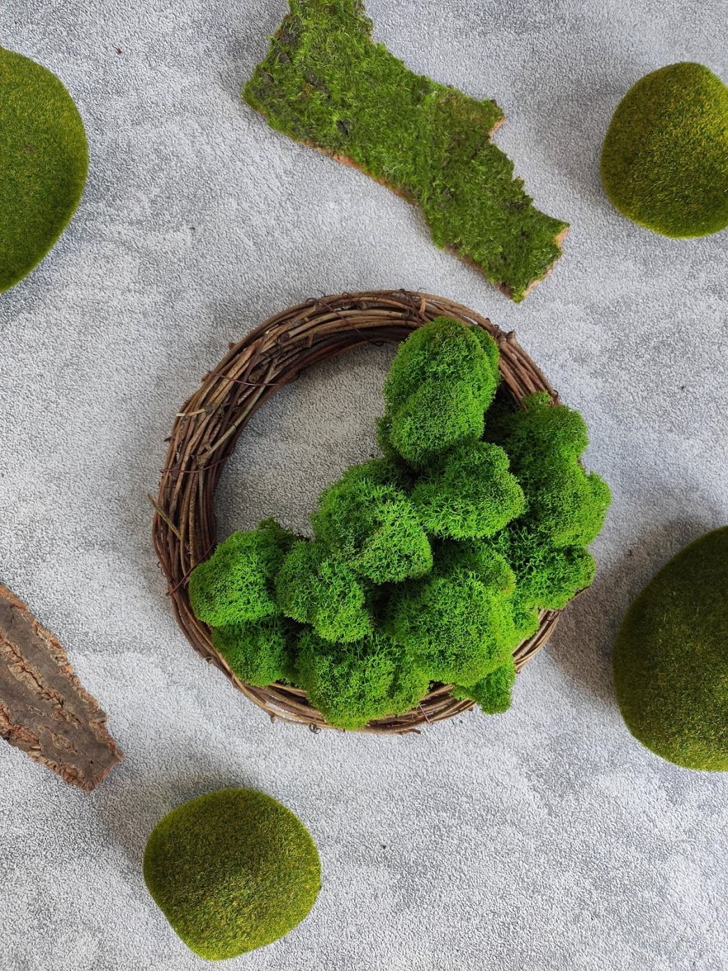 Мод мох. Lichen maquette ковер. Мох 3д модель. Сухоцветы magia leggera мох. Текстура мха майнкрафт.