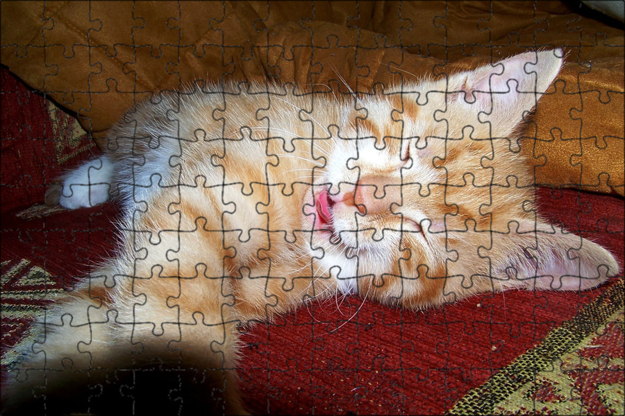 Кот дремота