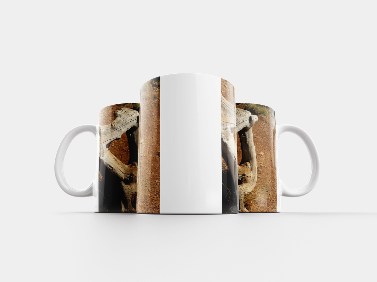 Кружка root binary. Чашка какой корень. Кружка root (черный). Чай сандал чем полезен чай сандал. Слова с безударной гласной с проверкой.