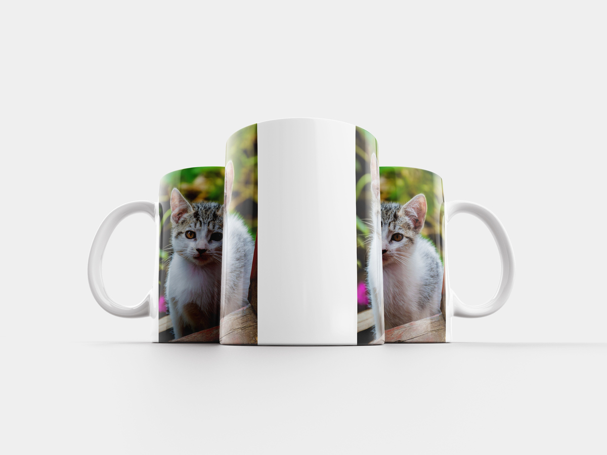 Вещи моего кота