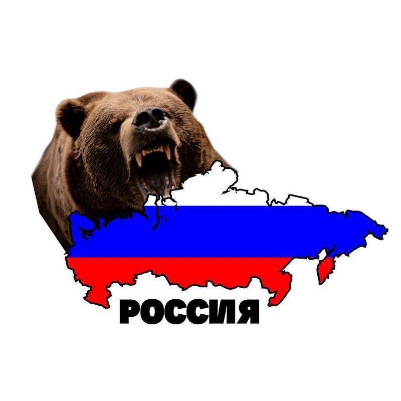 Картинка медведь с флагом