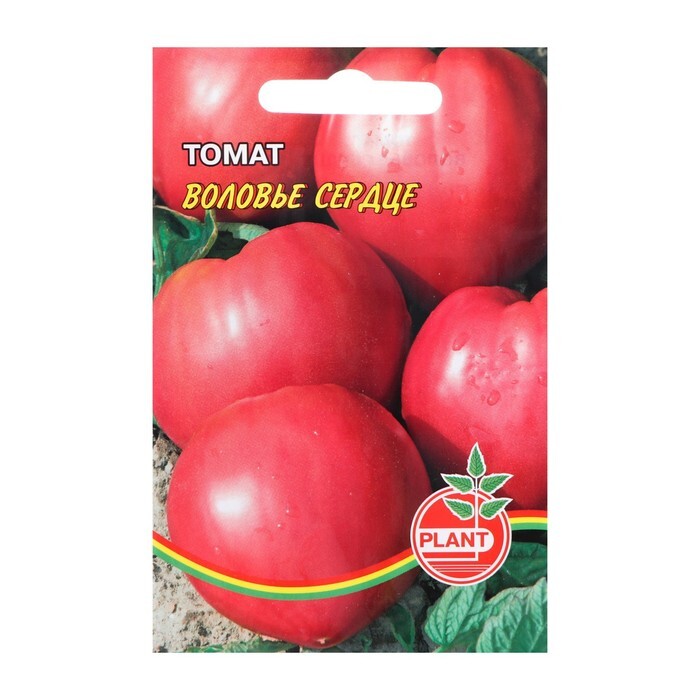 Томат воловье сердце отзывы фото