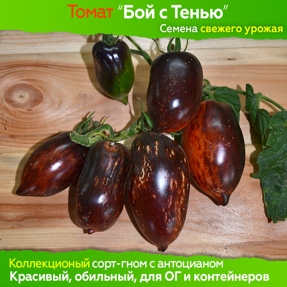 Томат бой с тенью описание сорта фото