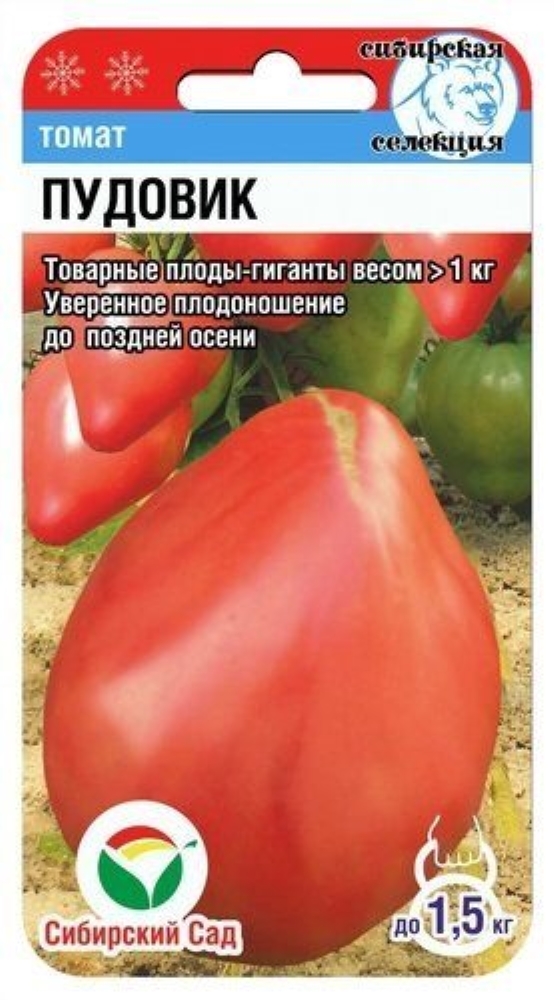 Томат сорт пудовик описание фото