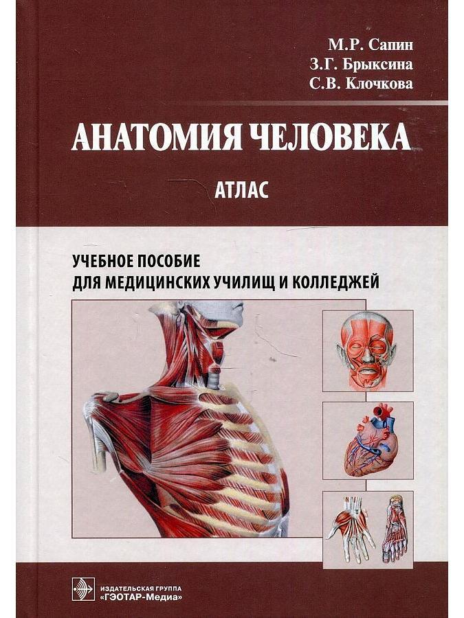Анатомия человека сапин 1,2 том. Атлас анатомия человека сапин брыксина. Г. Брыксина. Сапин, з.