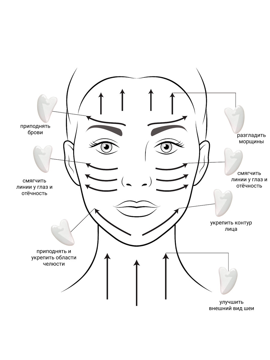Массаж лица гуаша схема