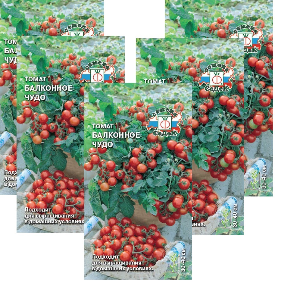 Купить Томат Балконное Чудо Фирмы Партнер