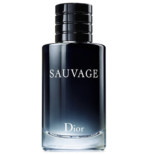 sauvage dior mens 100ml