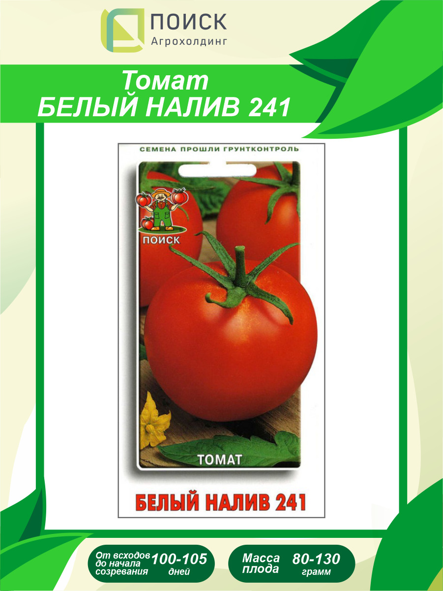 томат белый налив отзывы фото урожайность