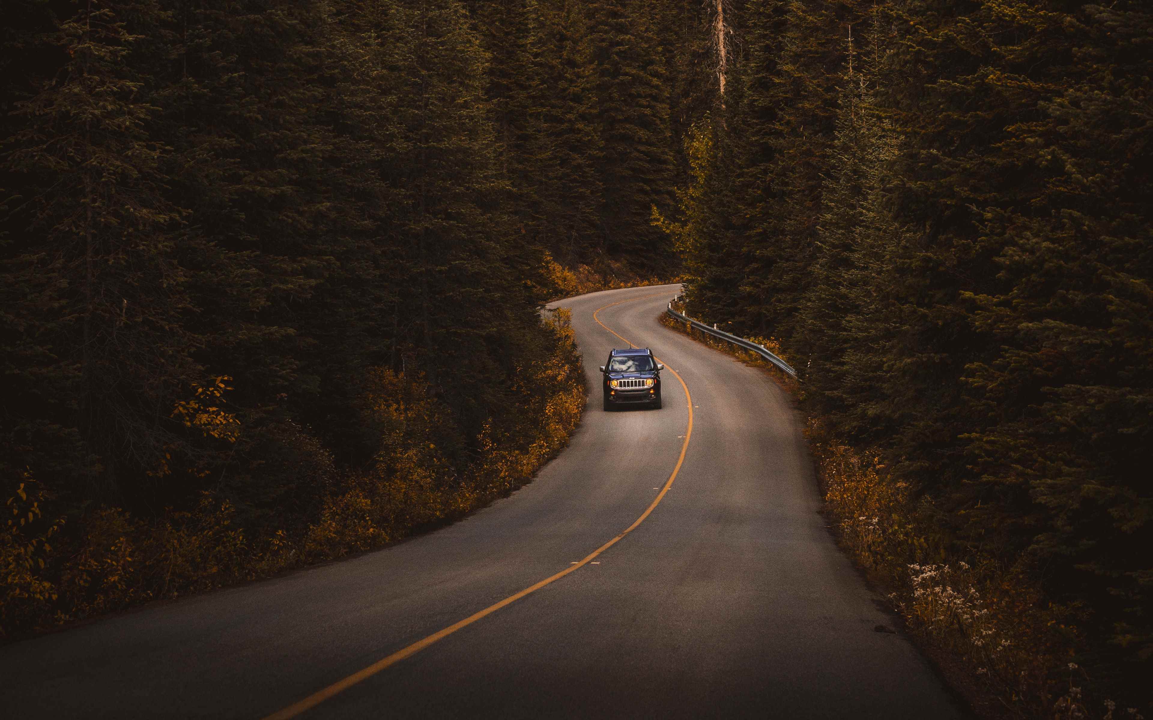 Way cars. Дорога в лесу. Автомобильная дорога. Лес дорога машина. Машина на Лесной дороге.