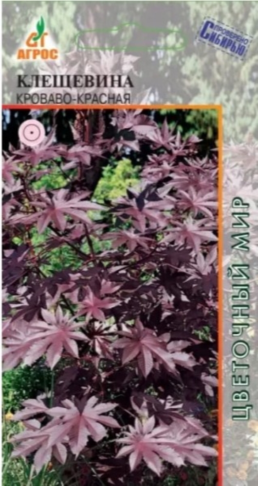 Клещевина рубиновое созвездие. Семена декоративно лиственных. Клещевина фото. Клещевина обыкновенная. Клещевина красная 5 шт.