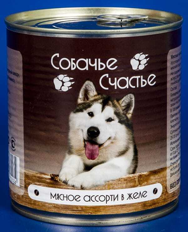 Собачье счастье картинки