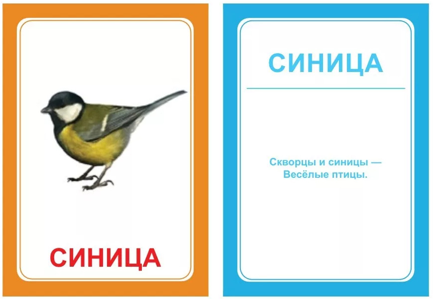 Логопедические карточки логопедические картинки