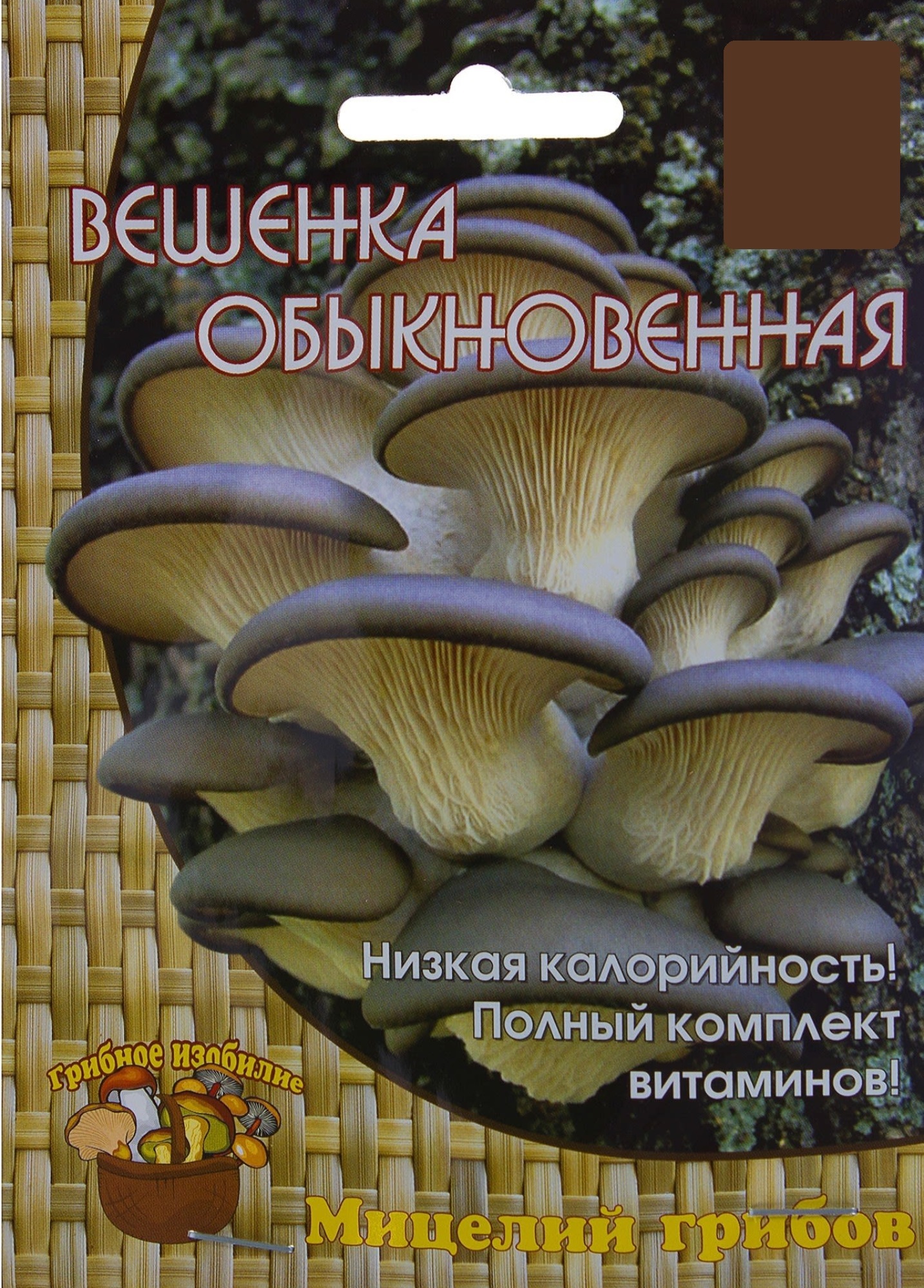 Мицелий вешенка обыкновенная