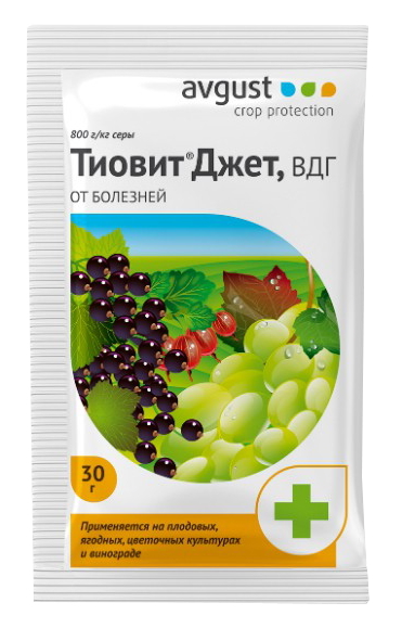Тиовит Джет – купить средство для защиты растений от болезней в ...