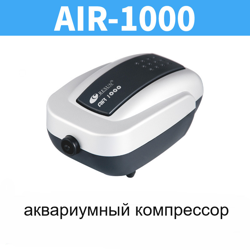 Air 1000