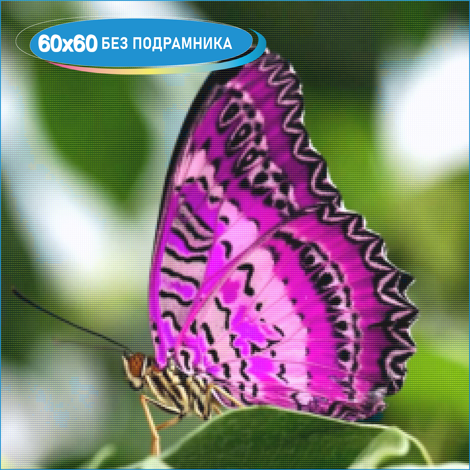 Бабочки вб. Бабочка Баттерфляй. БУЛАВОУСЫЕ чешуекрылые бабочки. Марипоса Баттерфляй. Птицекрылка бабочка.