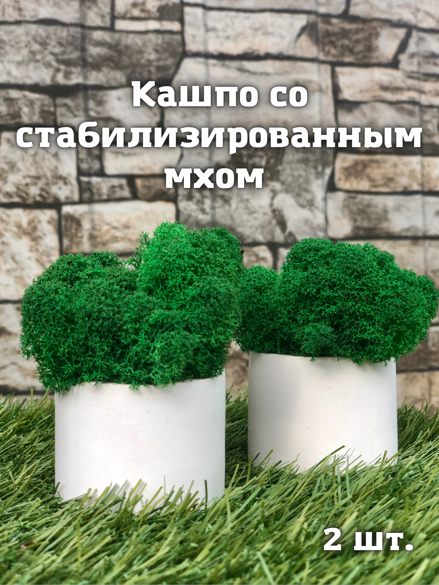 Кашпо со стабилизированным мхом 2 шт, Зеленый мох ягель, для декора дома,  настольное украшение - купить с доставкой по выгодным ценам в  интернет-магазине OZON (643722514)