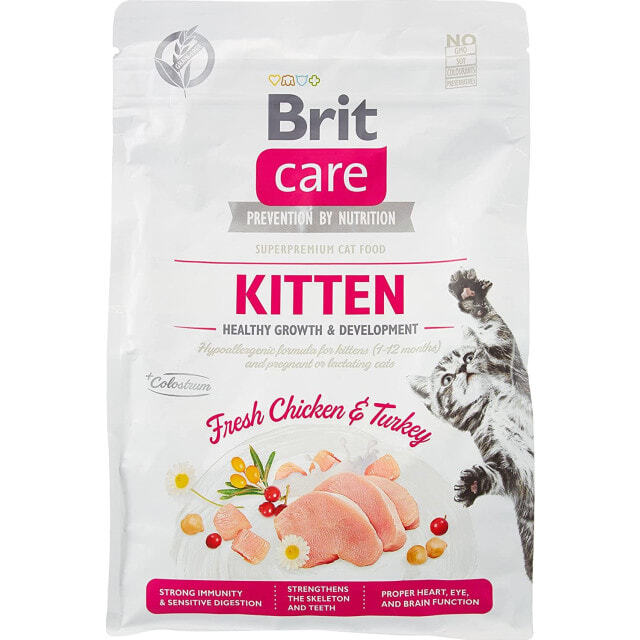 Brit care kitten