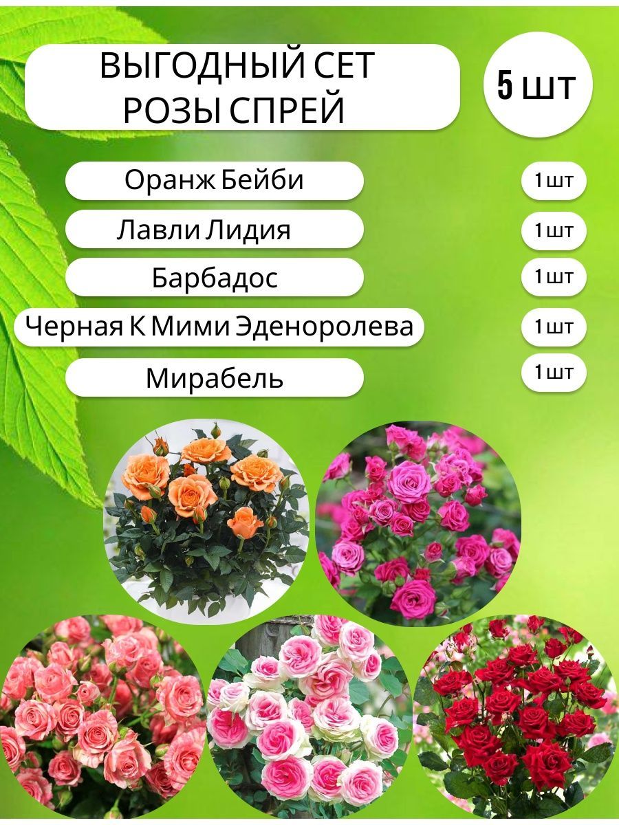 Корни,клубни,луковицы