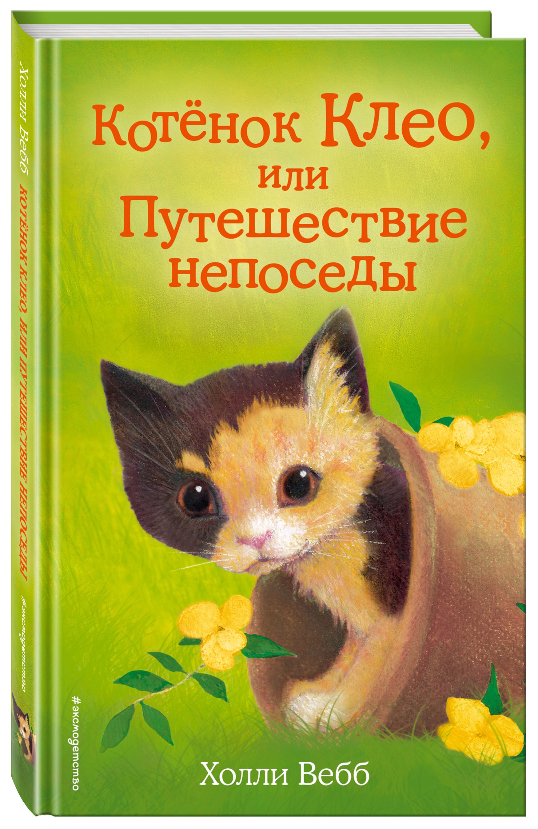 Книга котиков. Холли Вебб котёнок Клео или путешествие Непоседы. Котенок Клео, или путешествие Непоседы. Котёнок Клео или путешествие Непоседы Холли Вебб книга. Вебб котенок Клео.