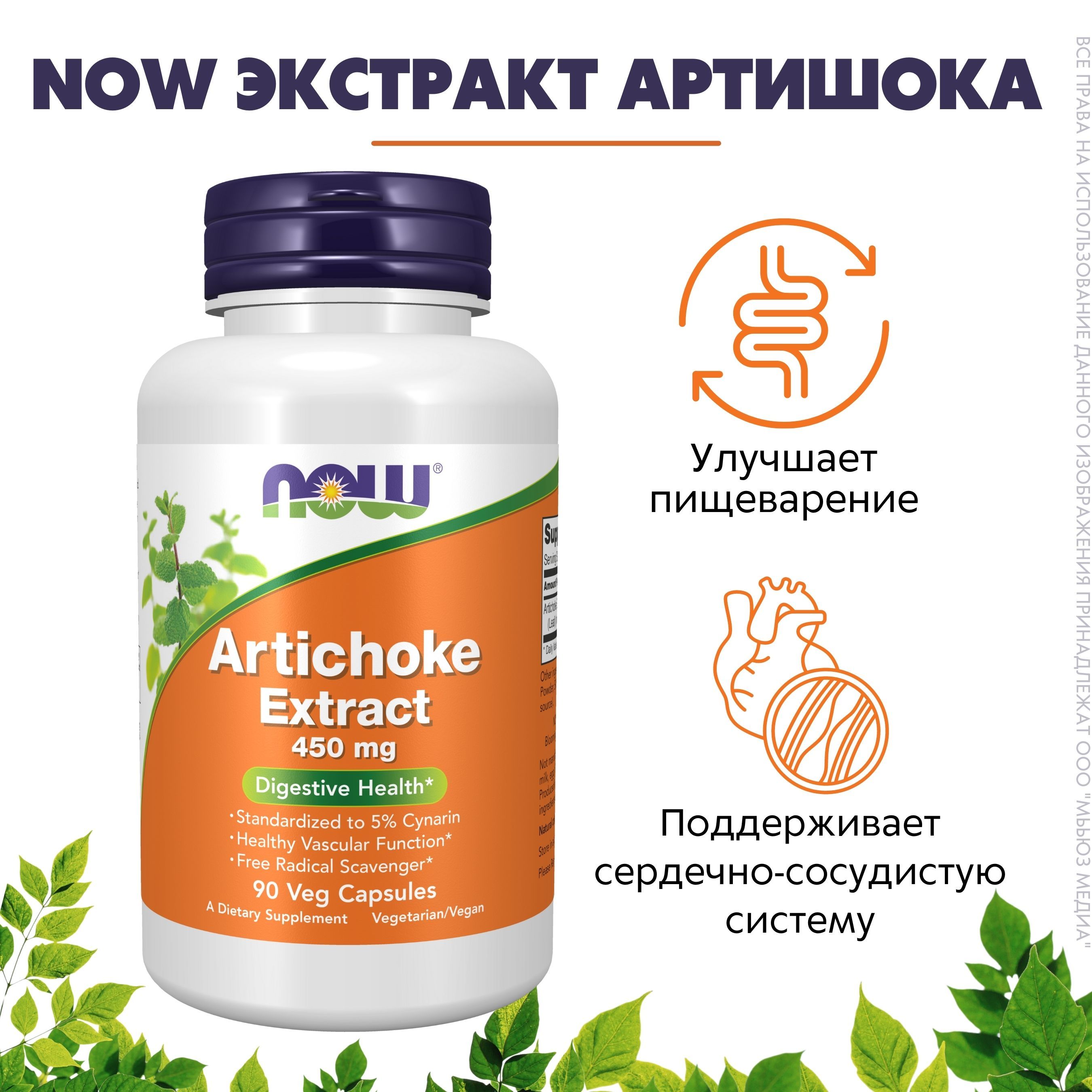 Экстракт Артишока Купить