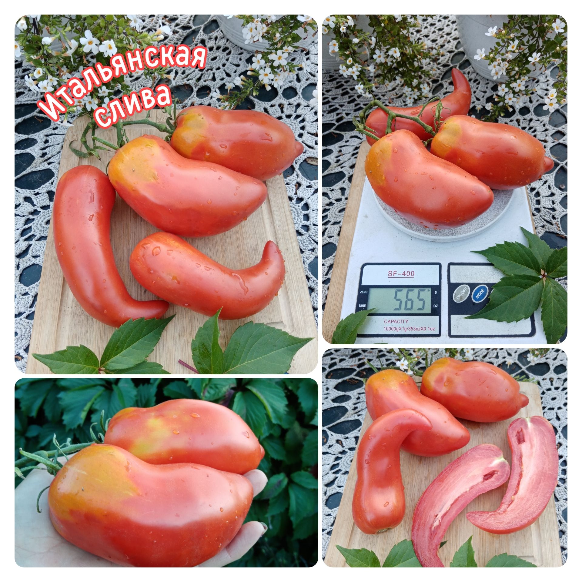 Корейский длинноплодный томат описание сорта фото