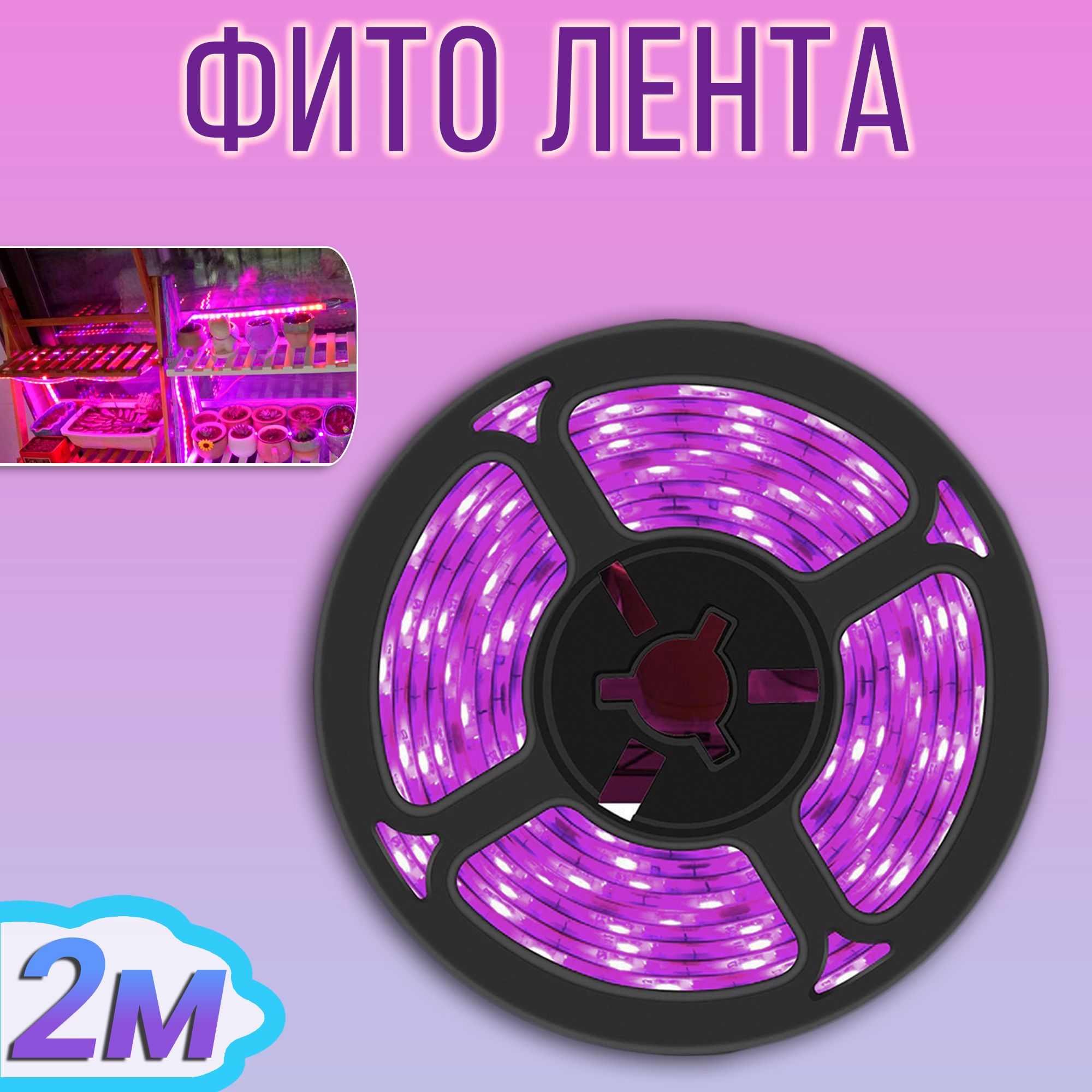 Где Можно В Москве Купить Фитоленту Оптом