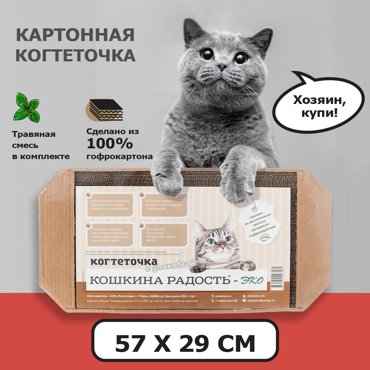 Аппликация для детей из крупы «Котик» * (3-6 лет)