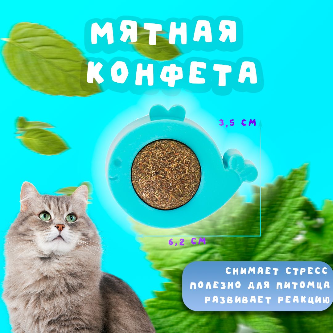 Кошачья конфета