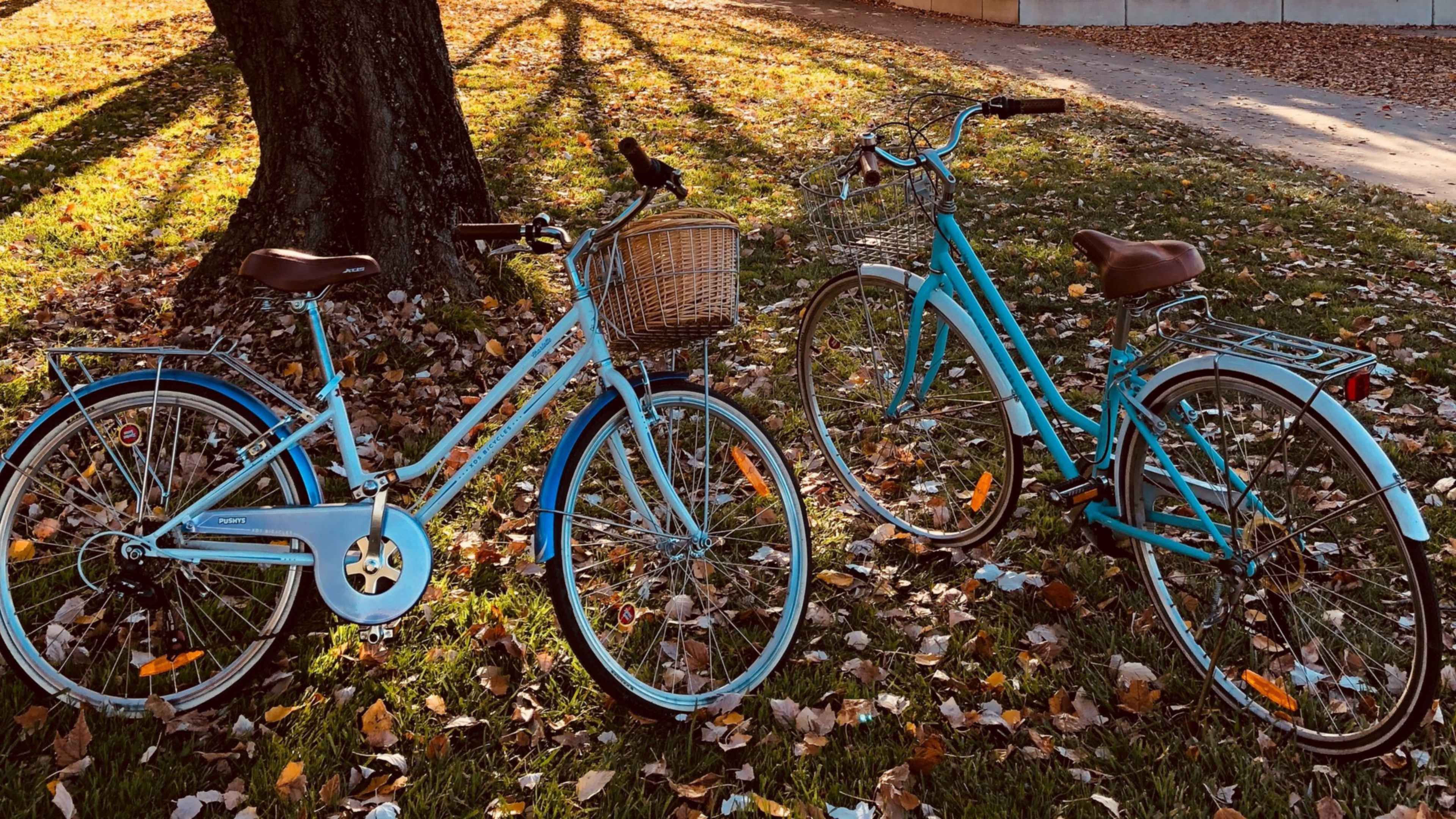 Bst hyde park. Прогулка на велосипеде. Парк для велосипедистов. Вел он парк. Велопарк песочка.