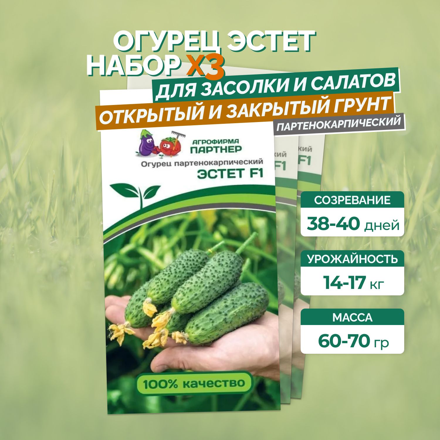 Огурцы Эстет Отзывы Фото