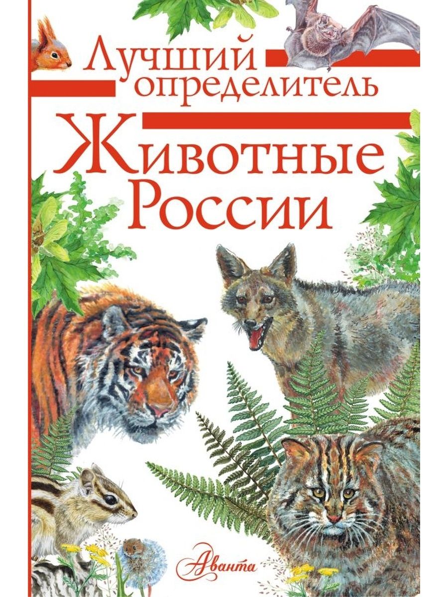 Хороший определитель. Определитель животных книга Волцит Целлариус. Животные России. Определитель. Определитель зверей России. Животные России книга.