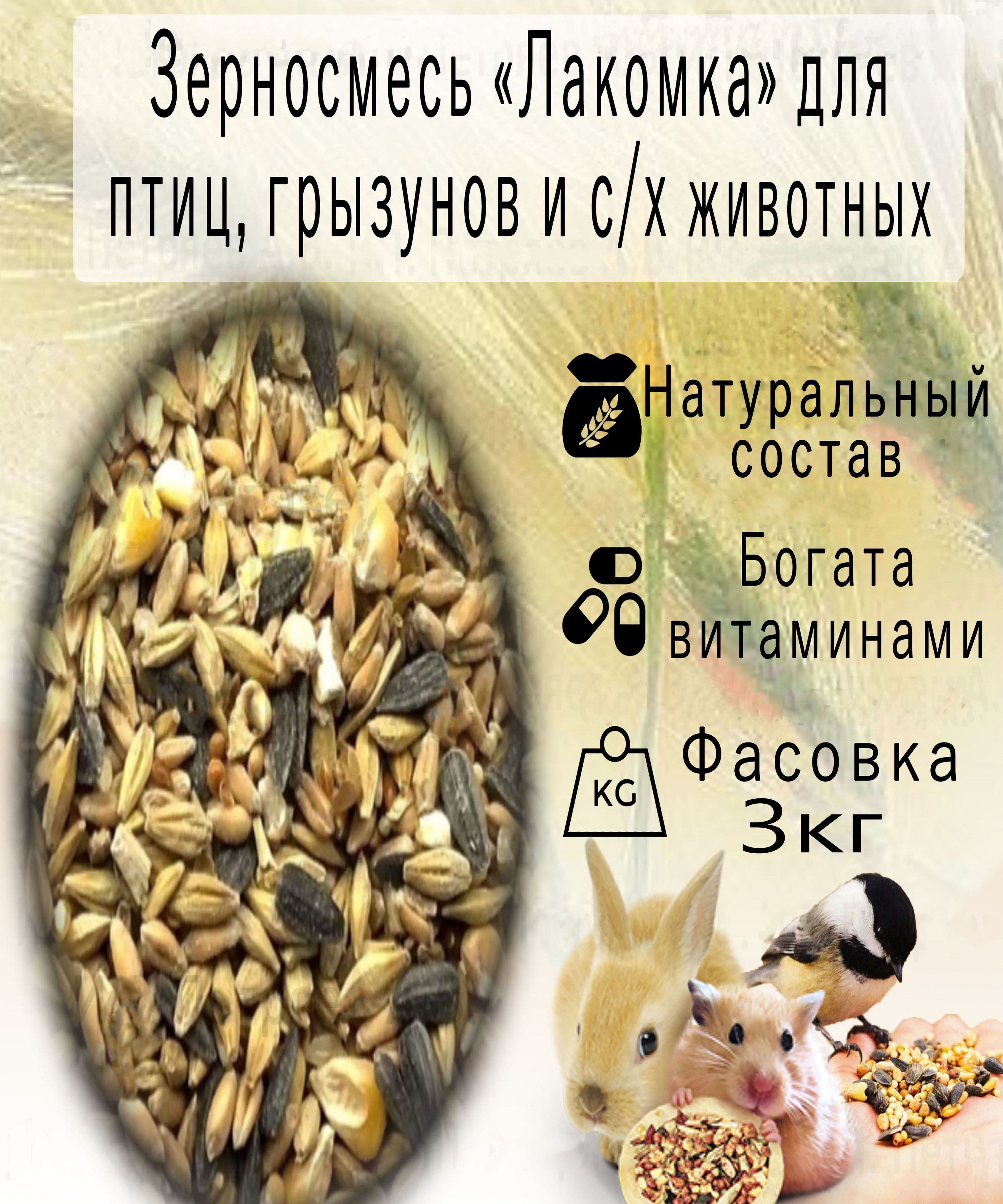 Купить Пшеницу На Корм Для Кур