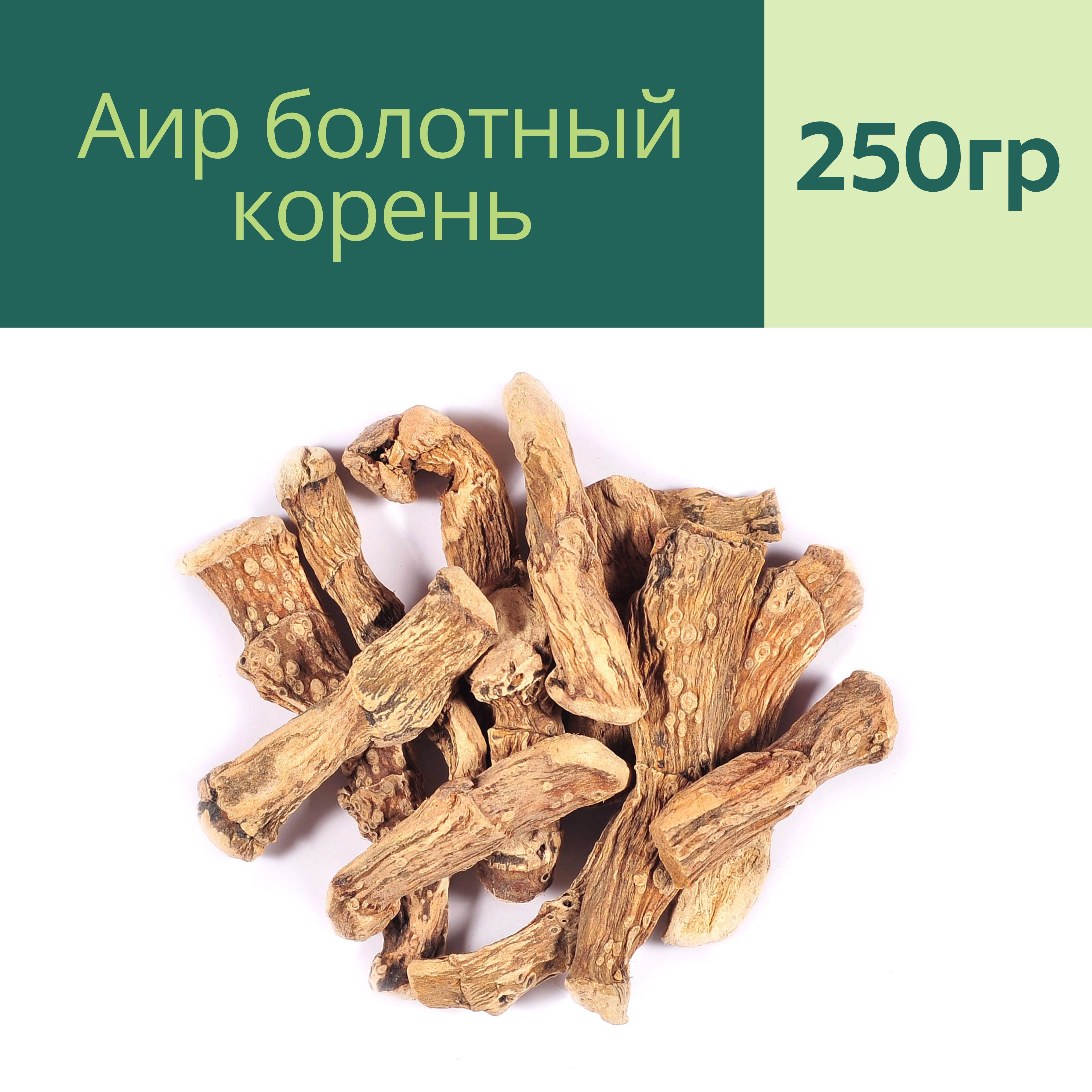 Корень аира. АИР болотный корень (100 гр). Корневища аира болотного. Аира обыкновенного корневища. АИР обыкновенный корневища.