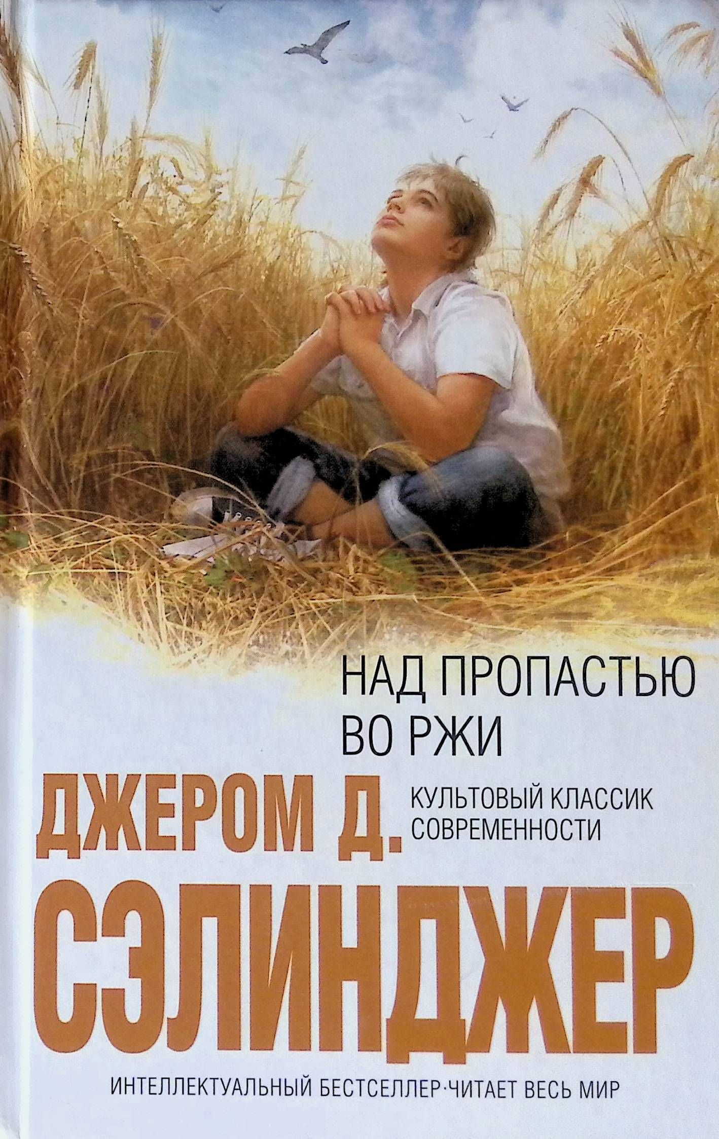 Аудиокнига пропастью во ржи. Джером Дэвид Сэлинджер над пропастью во ржи. Над пропастью во ржи обложка книги. Сэлинджер над пропастью во ржи Холден. Дж.д.Сэлинджера «над пропастью во ржи»).