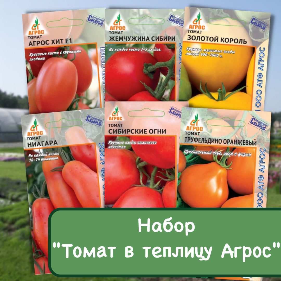 Томат ниагара описание сорта. Томат ниагара. томат жемчужина. томат король сибири. томат душа компании.