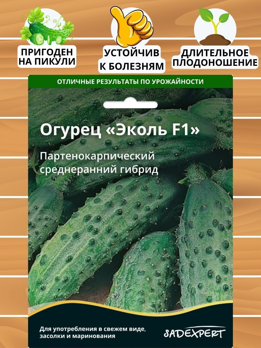 Эколь огурец описание и отзывы. Огурец Эколь отзывы фото урожайность характеристика и отзывы.