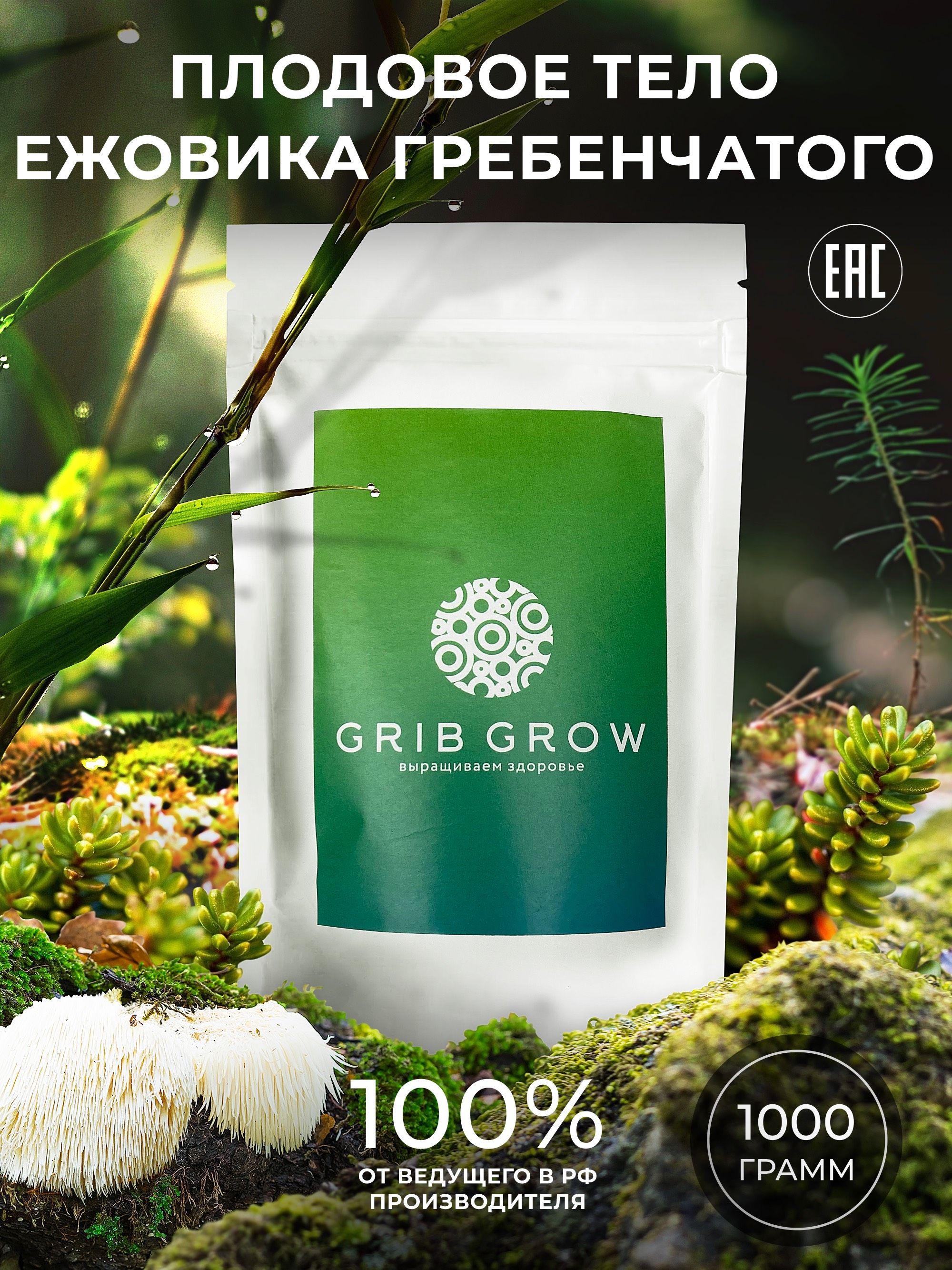 ЕжовикГребенчатыйплодовоетелоGribGrow-1кг