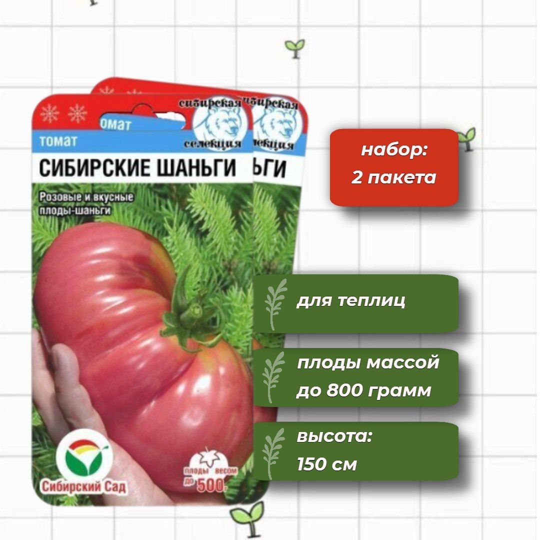 томат папино угощение. томат сибирские шаньги сиб сад. сибирские шаньги томат отзывы характеристика. томат сибирские шаньги. сибирские шаньги томат отзывы характеристика.