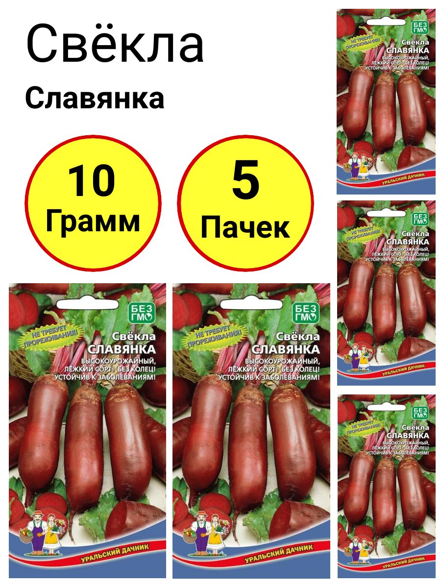 Свекла Славянка Описание Сорта Фото