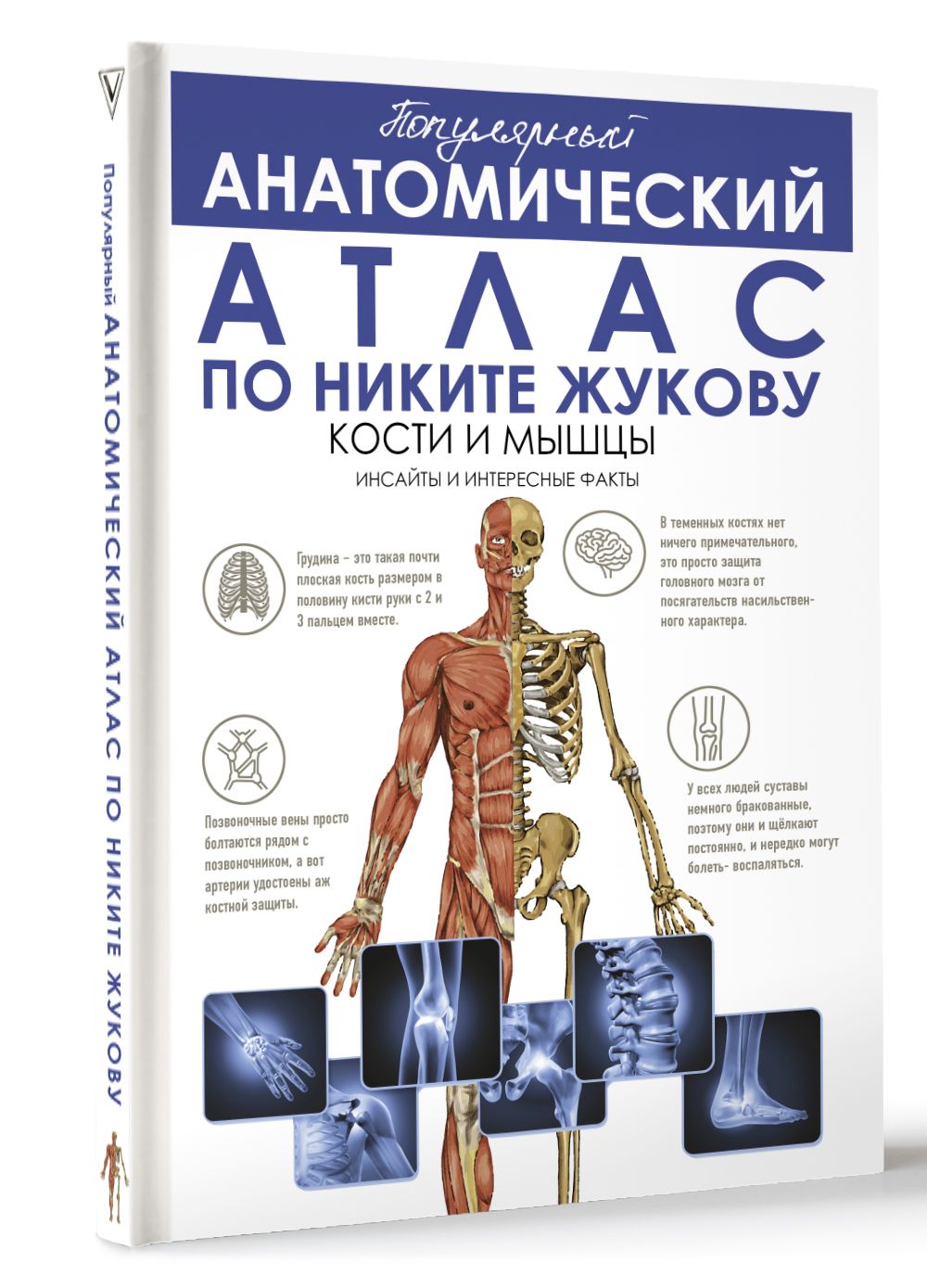 Популярный анатомический атлас по Никите Жукову: кости и мышцы. Инсайты и  интересные факты | Жуков Никита Эдуардович