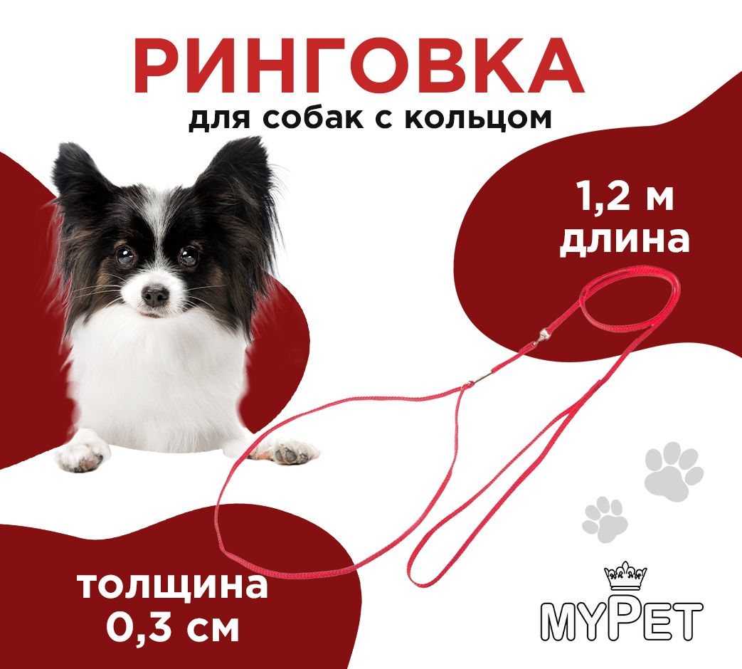 myPet Ринговка для дрессировки и выставок с кольцом, для собак, красная -  купить с доставкой по выгодным ценам в интернет-магазине OZON (154785689)