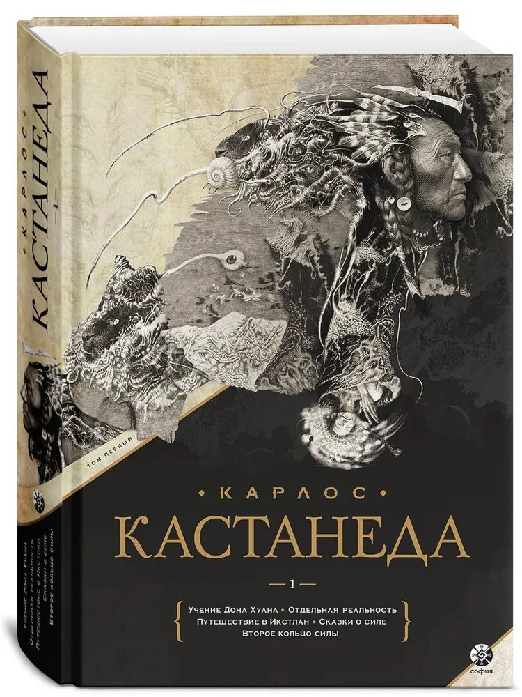 Кастанеда это. Кастанеда учение Дона Хуана отдельная реальность. Кастанеда путешествие в Икстлен. Учение Дона Хуана первая книга Карлоса.