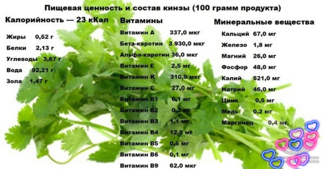 Лук зеленый калорийность на 100 грамм. Кинза состав витаминов. Кинза калорийность. Кинза микроэлементы. Кинза состав витаминов и минералов.